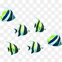 海底效果摄影鱼群-空若网 海底效果摄影鱼群-空若网