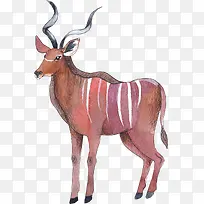 �ֻ涯��-������