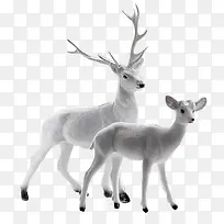 白色小鹿高清手绘-空若网 白色小鹿高清手绘-空若网