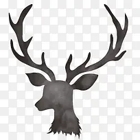 �ֻ��ɫˮ��С¹-������