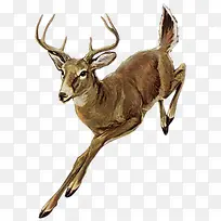 С¹�ֻ�-������