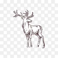 手绘小鹿-空若网 手绘小鹿-空若网