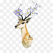 ˮ��С¹-������