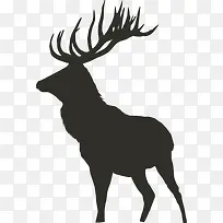 麋鹿剪影-空若网 麋鹿剪影-空若网