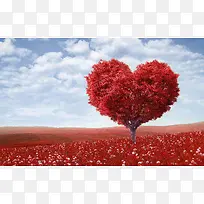 创意爱心树木浪漫-空若网 创意爱心树木浪漫-空若网