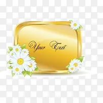 �����߿�-������