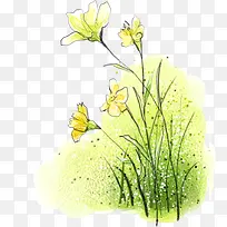 手绘花朵-空若网 手绘花朵-空若网