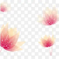 ��ɫ��Ư��-������