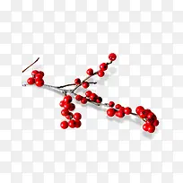 梅花树枝红珠树枝-空若网 梅花树枝红珠树枝-空若网