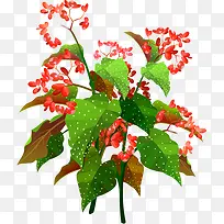 ����-������