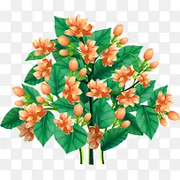 花树-空若网 花树-空若网