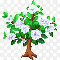 花树-空若网 花树-空若网