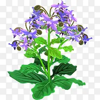 ����-������