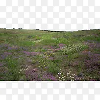 ޹�²�ͼƬ��-������