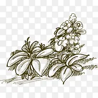 手绘花卉-空若网 手绘花卉-空若网