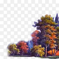 �ͷ׶���ֻ�����-������