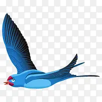 飞翔的鸟-空若网 飞翔的鸟-空若网