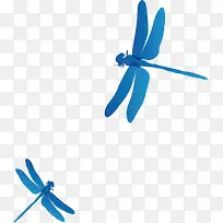 蓝色蜻蜓-空若网 蓝色蜻蜓-空若网