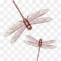 蜻蜓-空若网 蜻蜓-空若网