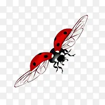 ��ͨ����ư��-������