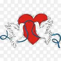 白鸽-空若网 白鸽-空若网