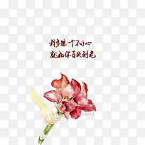 ��ͷ���ϵİ�-������