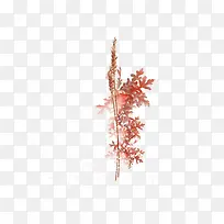 ޹�²�-������