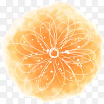 韩式清新橙色花卉-空若网 韩式清新橙色花卉-空若网