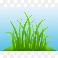 ��ͨ������-��տ�ͨ������-������