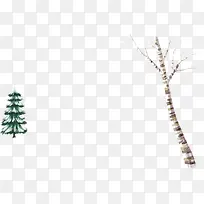 冬季绿色植物树枝-空若网 冬季绿色植物树枝-空若网