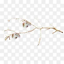 树枝-空若网 树枝-空若网