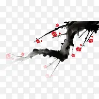 ÷����֦-������