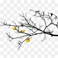 树枝 树干-空若网 树枝 树干-空若网