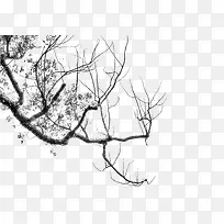 枯树叶-空若网 枯树叶-空若网