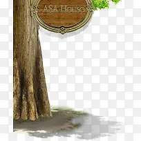 Ê÷-¿ÕÈôÍø Ê÷-¿ÕÈôÍø