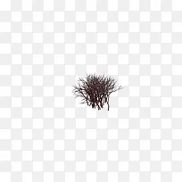 ����֦-������