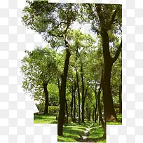 ��-������