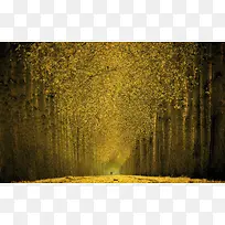 �徻������������-������