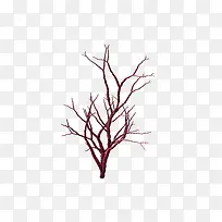 枯树枝-空若网 枯树枝-空若网