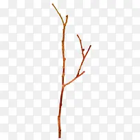 ��֦-������