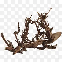 树木 树枝 枯树 干枯 树干-空若网 树木 树枝 枯树 干枯 树干-空若网