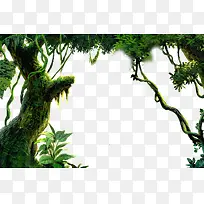 树干-空若网 树干-空若网