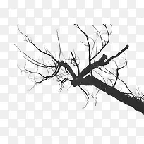 枯树枝-空若网 枯树枝-空若网