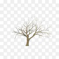 枯树枝树干素材-空若网 枯树枝树干素材-空若网