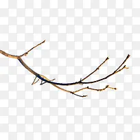 ����֦����-������