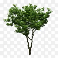 ��ɫ����-������