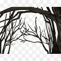 ����-������