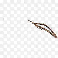 ��֦-������