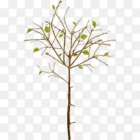 С��-������