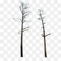 ¿ÝÊ÷¸É-¿ÕÈôÍø ¿ÝÊ÷¸É-¿ÕÈôÍø